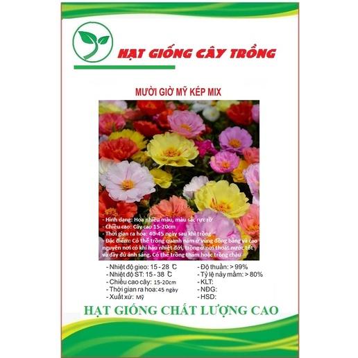 Hạt giống hoa 10h Mỹ hoa kép mix màu CT211 - Gói 100 hạt