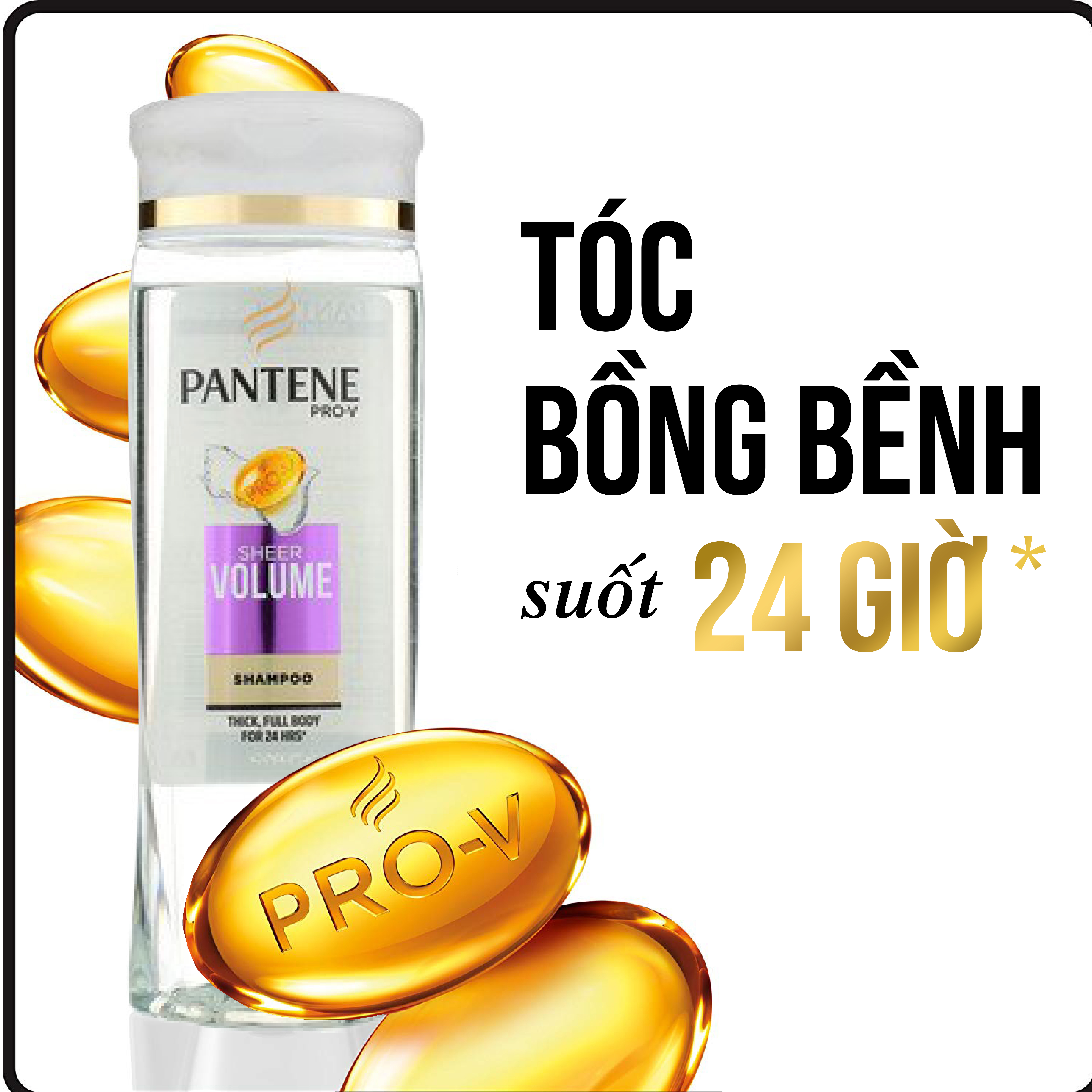 Dầu gội Pantene chai 750ml/740ml