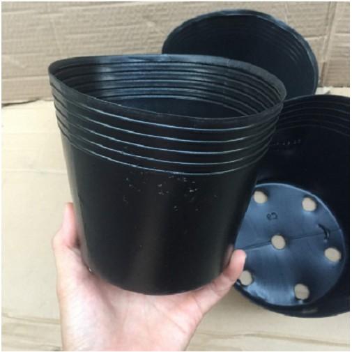 TÚI BẦU TRỒNG CÂY HOA ,CÂY CẢNH,CÂY ĂN QUẢ... 50 CÁI