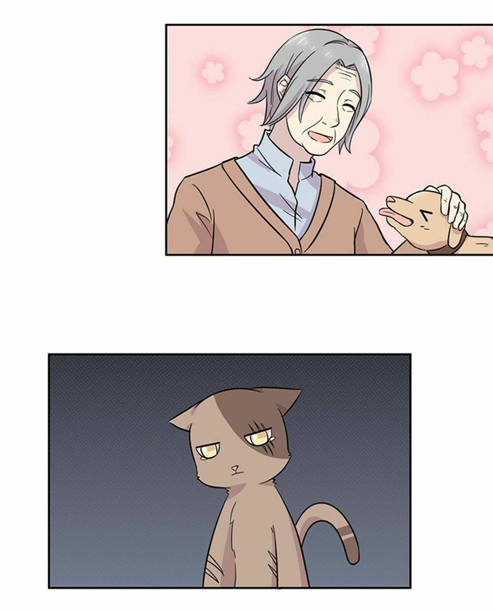 hai chú mèo totem chapter 23 12