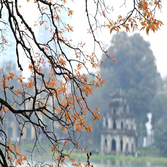 Hà Nội - Vịnh Hạ Long - Sapa - Bản Cát Cát - Fansipan