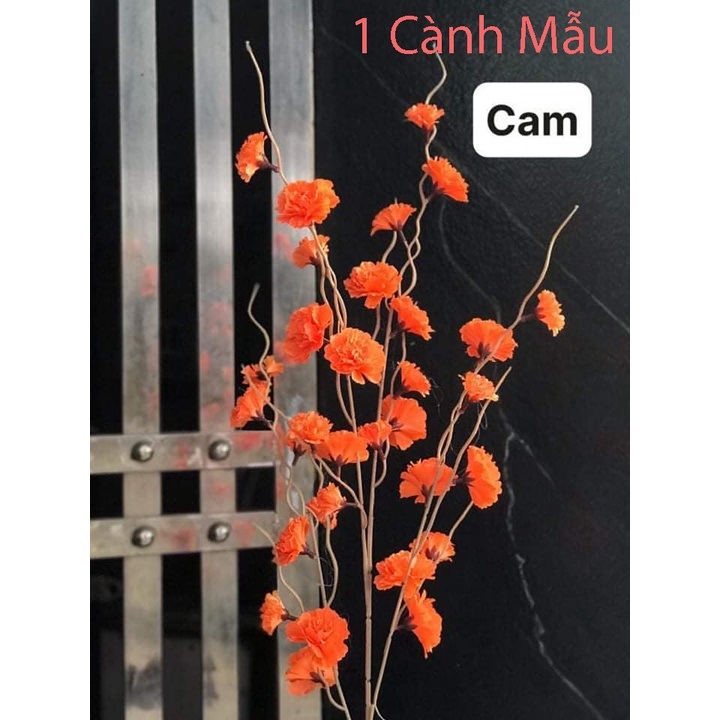 Hoa Anh Đào Râu Thân Dài 1m, Hoa Anh Đào Giả HL034