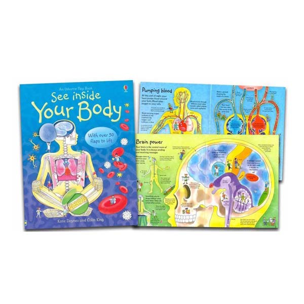 Sách tương tác tiếng Anh - Usborne See Inside Your Body