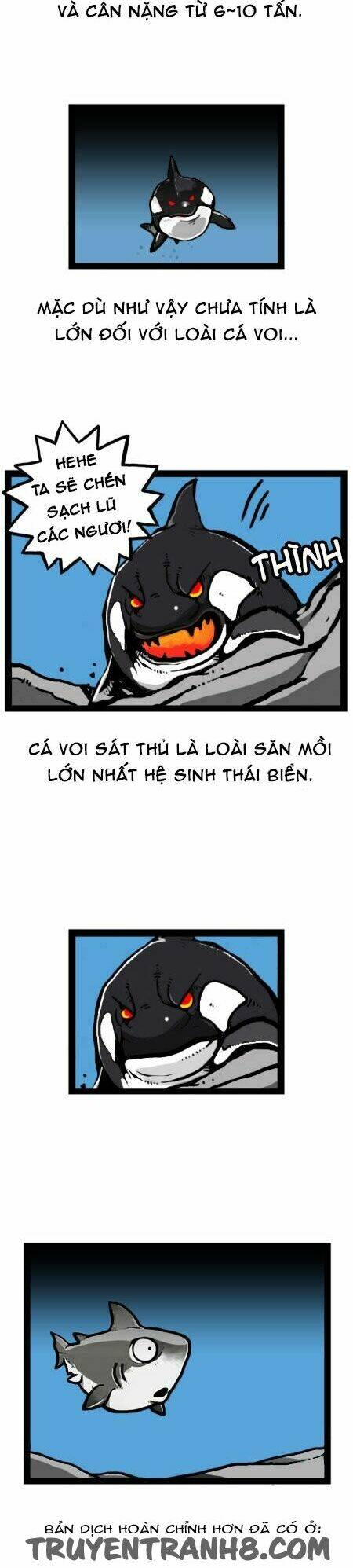 earth, human, and animal chapter 23 13