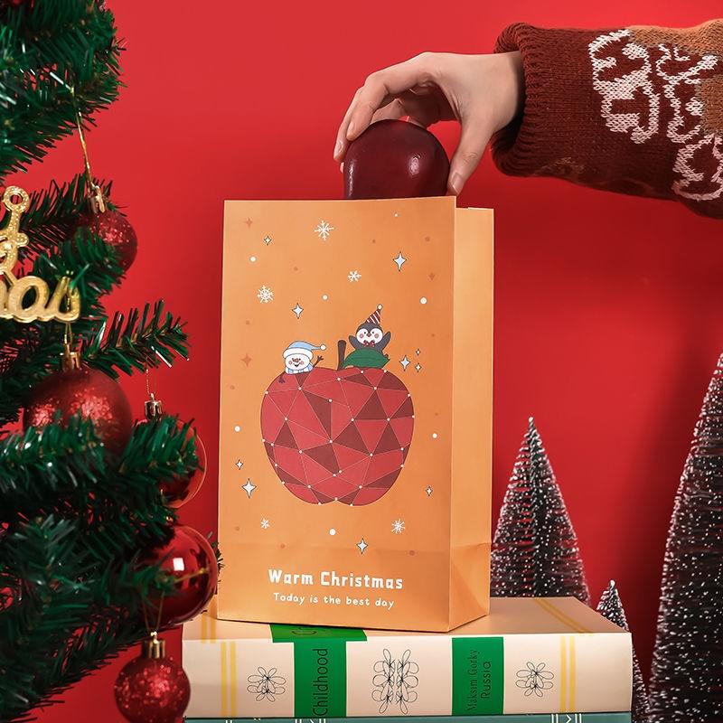 Set 6 túi giấy đựng quà Giáng Sinh