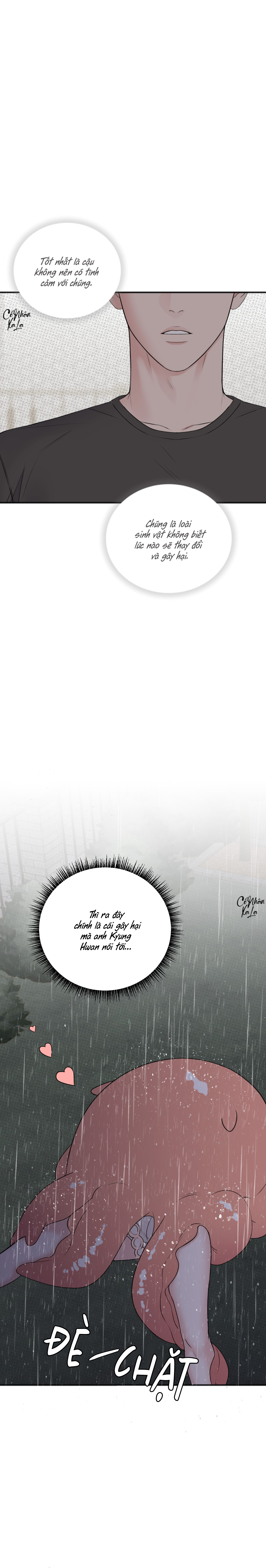 cảnh báo có giông chapter 5 18