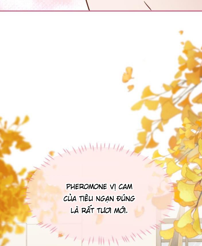 tín tức tố nói chúng ta không thể chapter 27 39