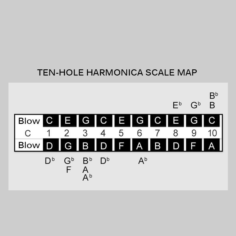 Harmonica 10 Holes 20 Tone Key of C Silver Color Blues Jazz Rock Folk Music Musical Instrument Diatonic Harp ELEN