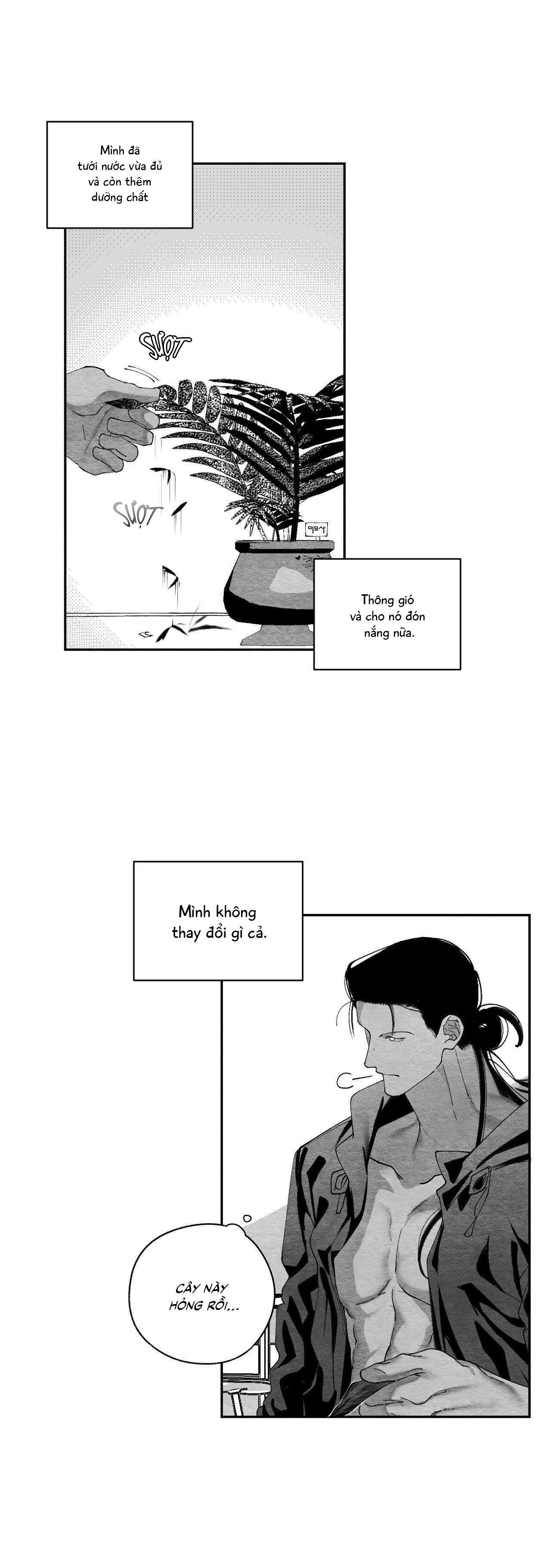 vóc dáng toàn mỹ chapter 25 40