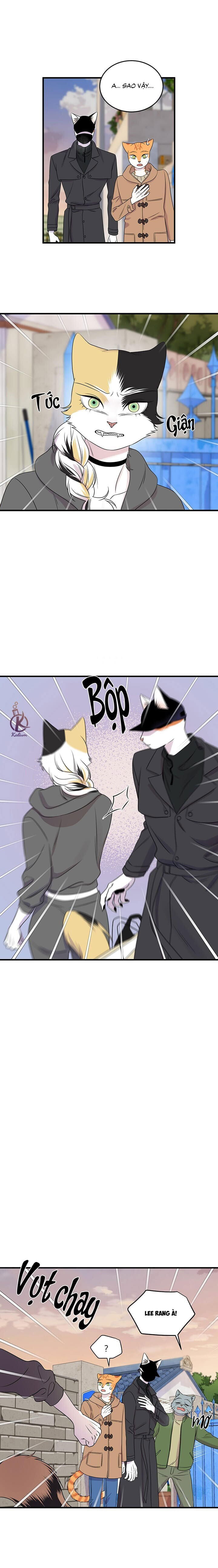 dự án xanh chapter 54 2