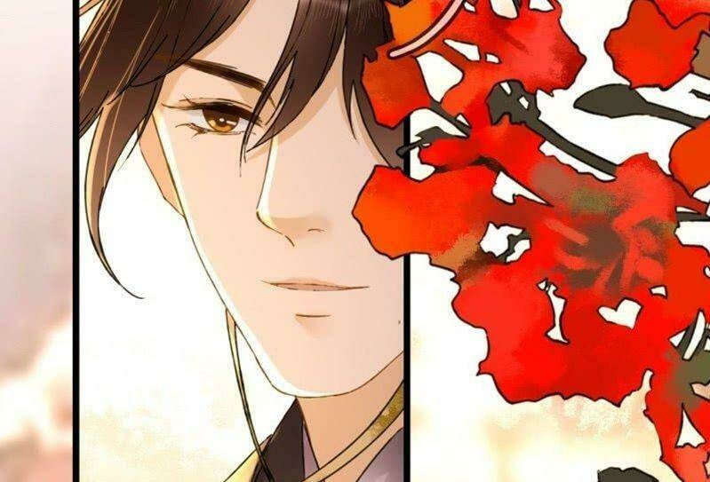 sủng phi của vương chapter 204 47