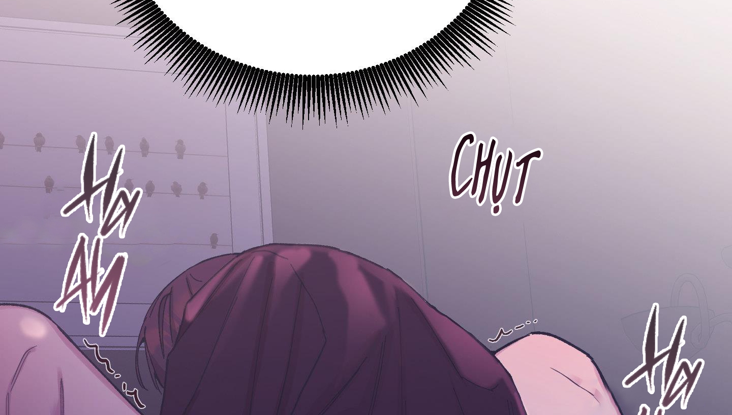 lãng mạn giả dối chapter 27 148