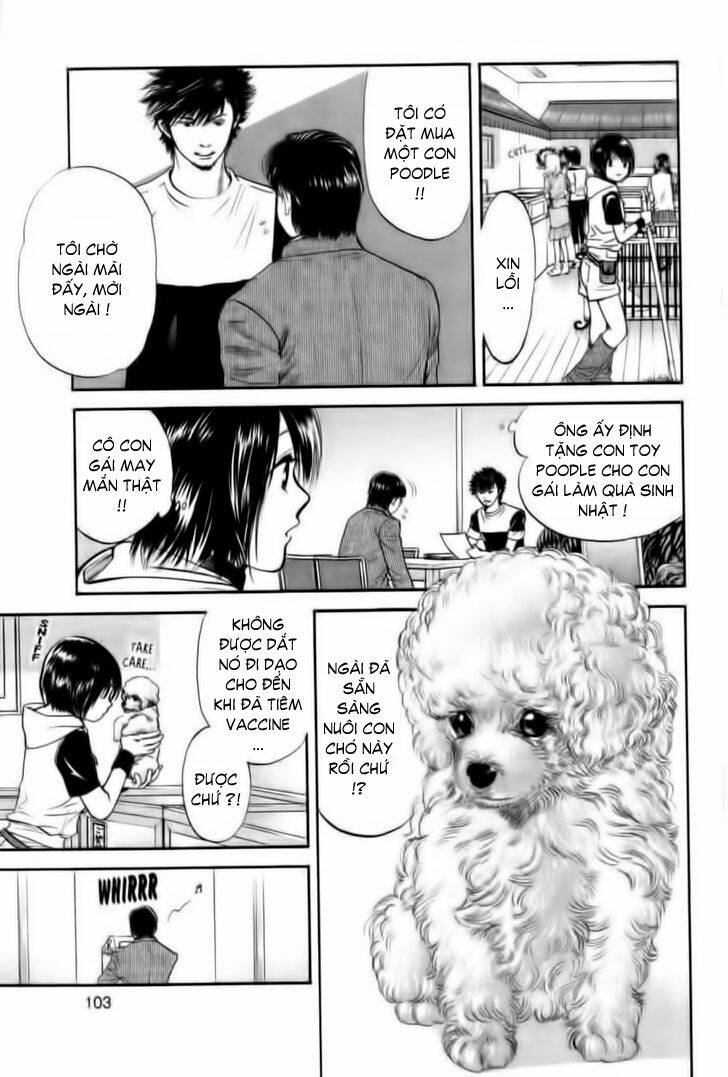 cô nàng yêu chó chapter 25 7