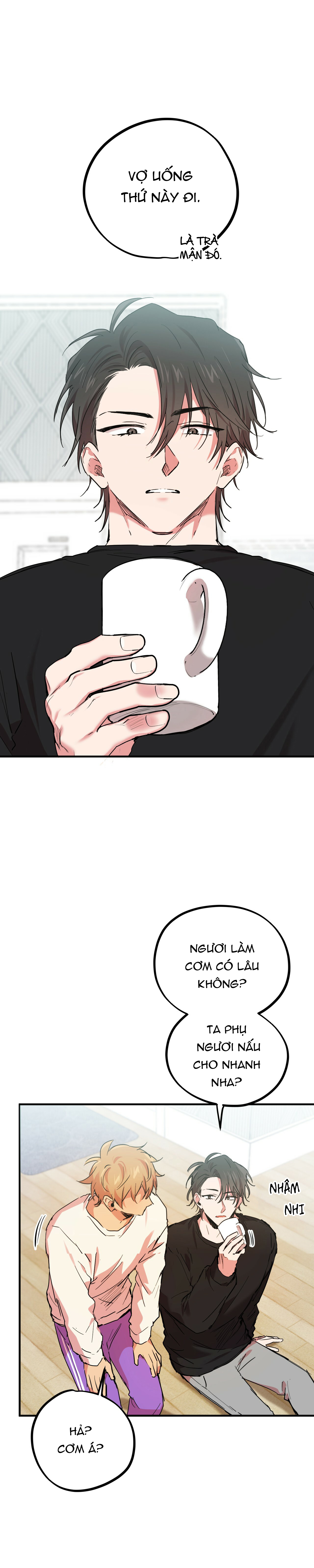 những chú thỏ của hapypy chapter 14 13