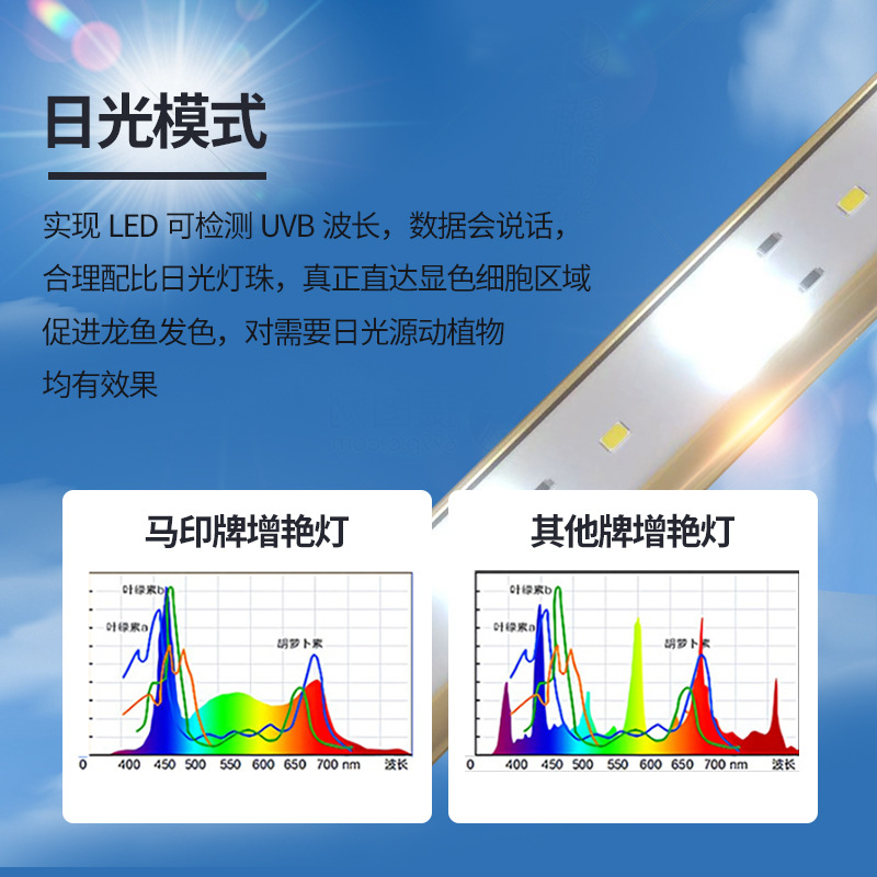 ĐÈN LED MAYIN SUPER COLOR PLUS 2 CHẾ ĐỘ CHUYÊN DỤNG CHO HUYẾT LONG !!