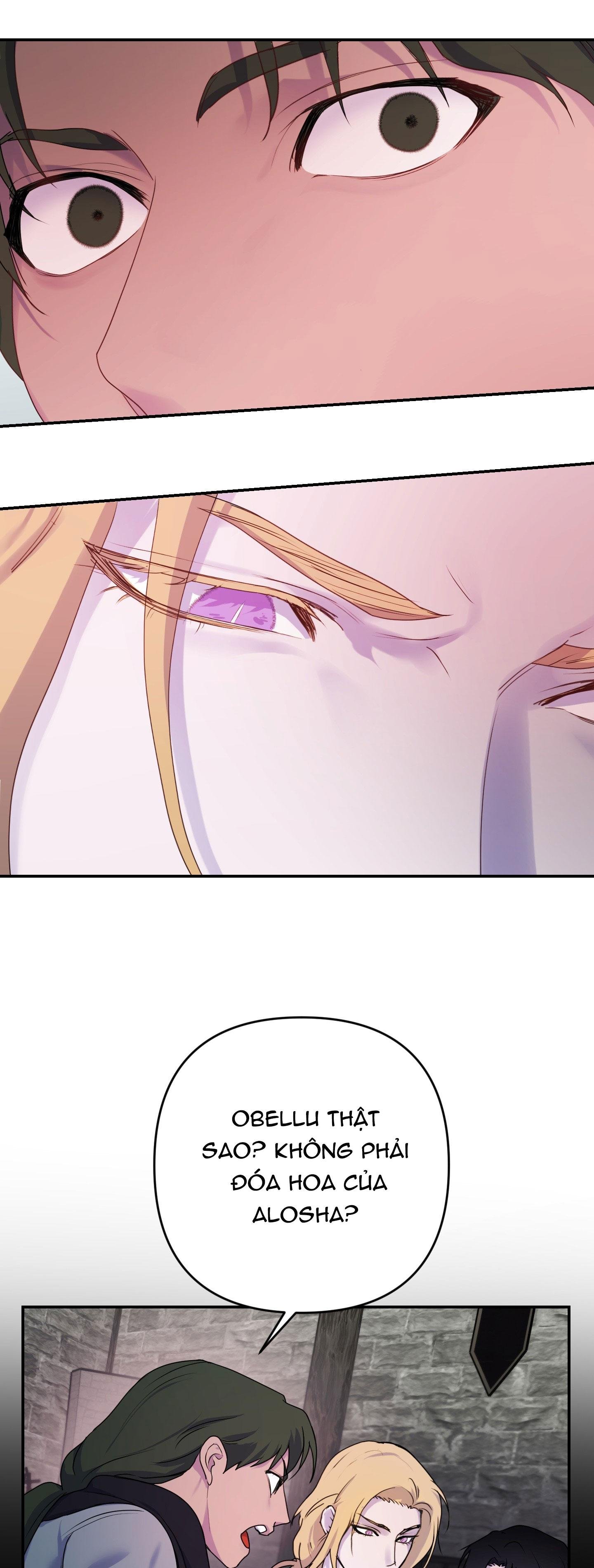 đóa hoa của alosha chapter 24 31