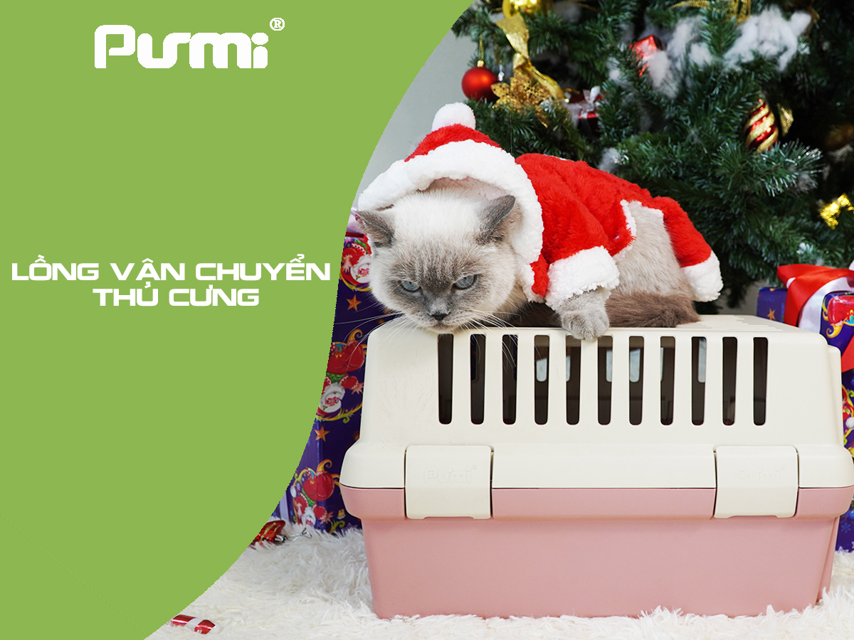 Lồng vận chuyển thú cưng Purmi nhiều màu