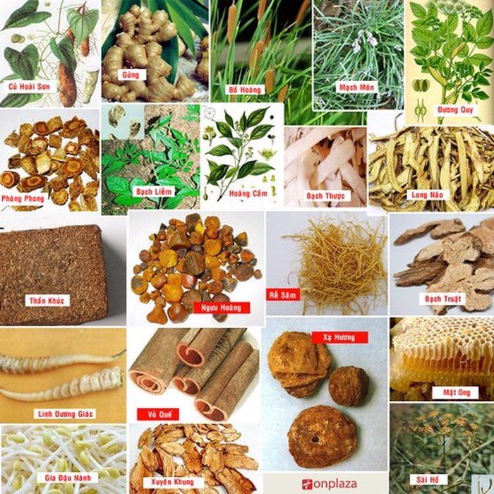 Viên ngăn ngừa đột quỵ An Cung Ngưu Hoàng Hoàn hộp gỗ 10 viên nhập khẩu Hàn Quốc