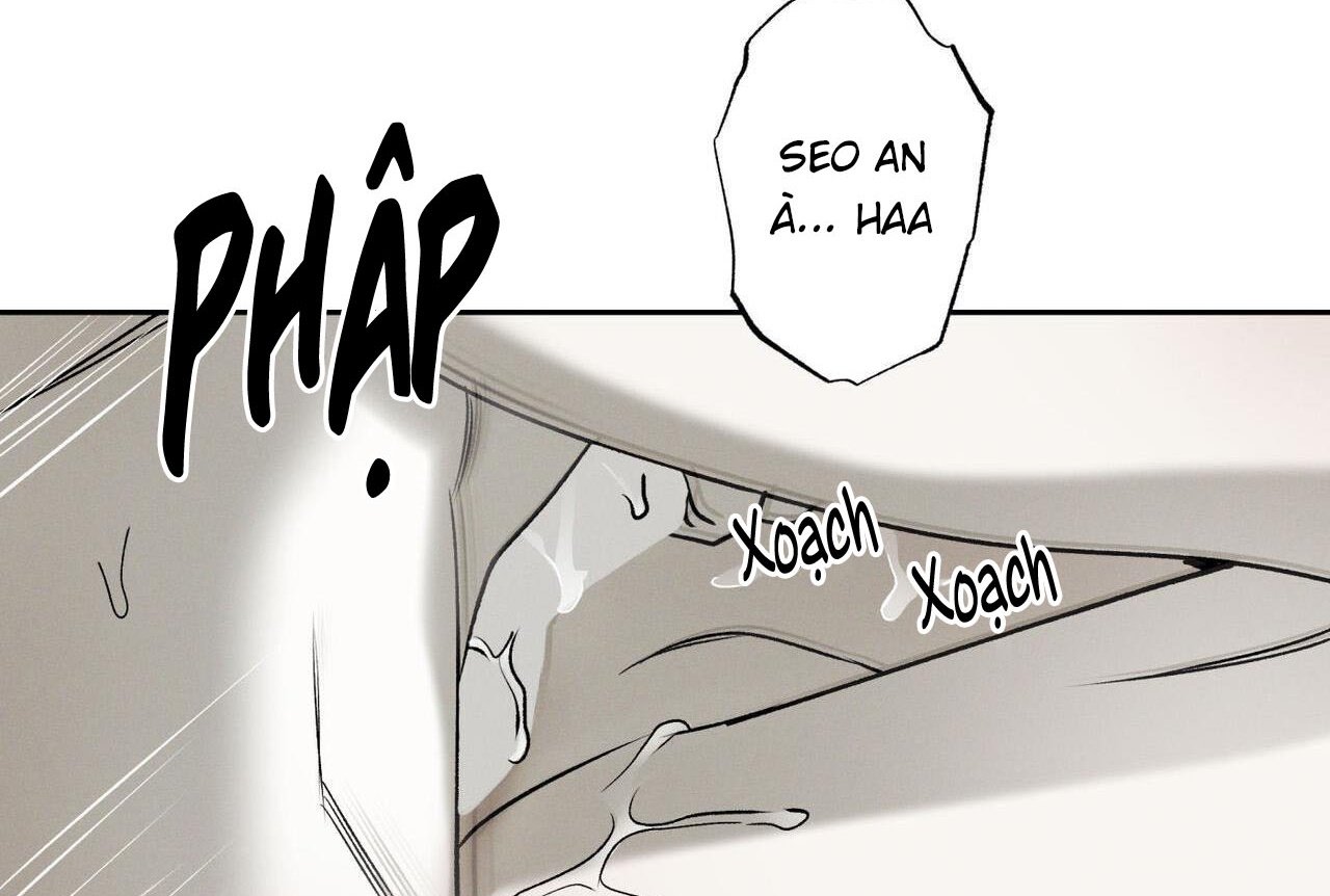 chàng giao pizza và gold palace chapter 47 33