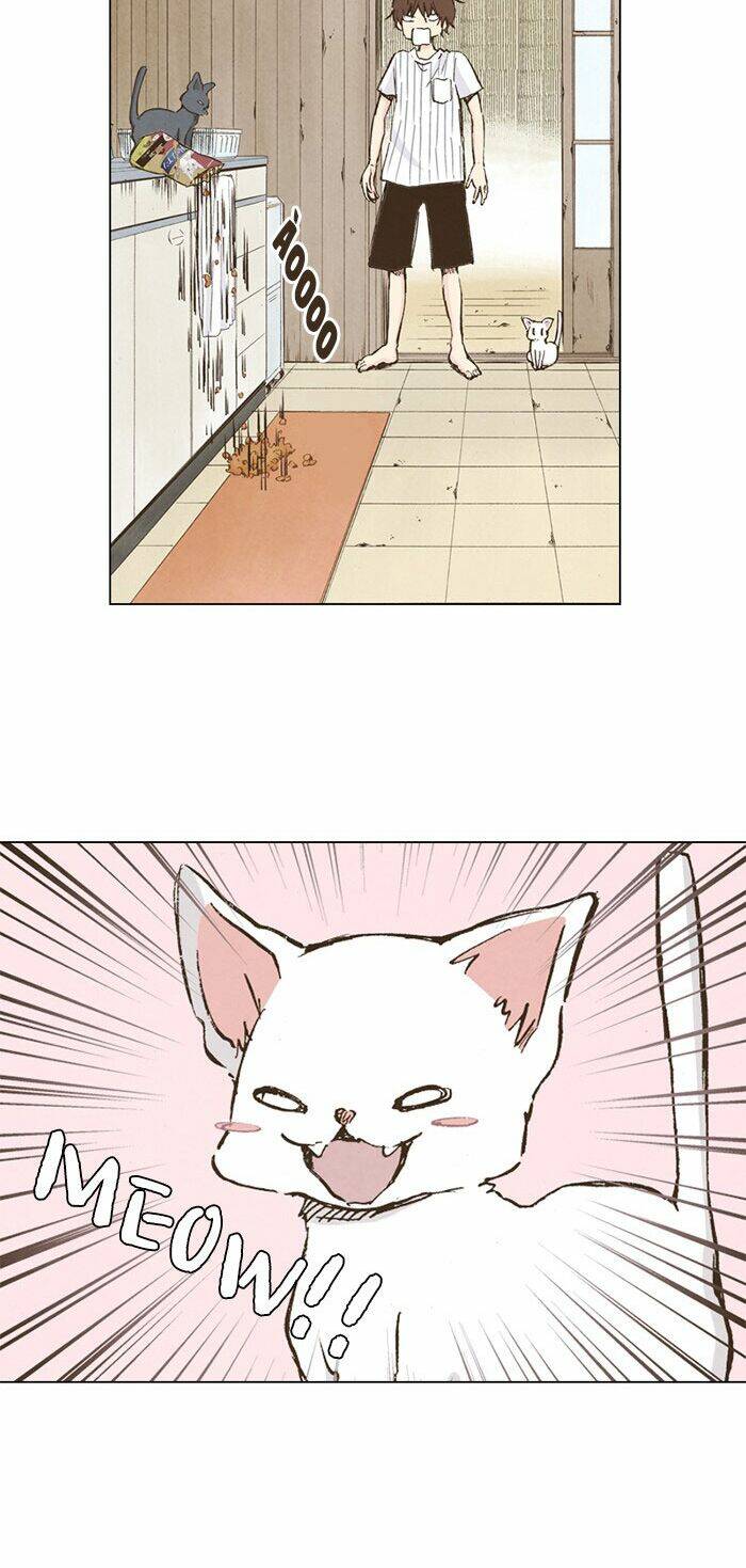 marry me! chapter 37 15