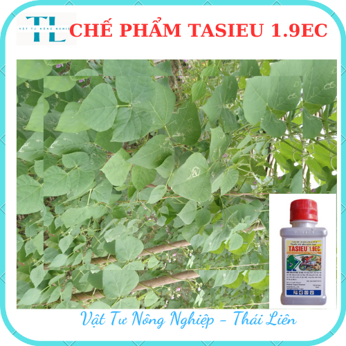 Thuốc bảo vệ thực vật Tasieu 1.9EC bảo vệ cây trồng