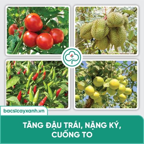 Phân bón vi lượng kích hoa nở đồng đều hàng loạt, đậu trái cao BS15 Nuti 500ml NSX Bacsicayxanh