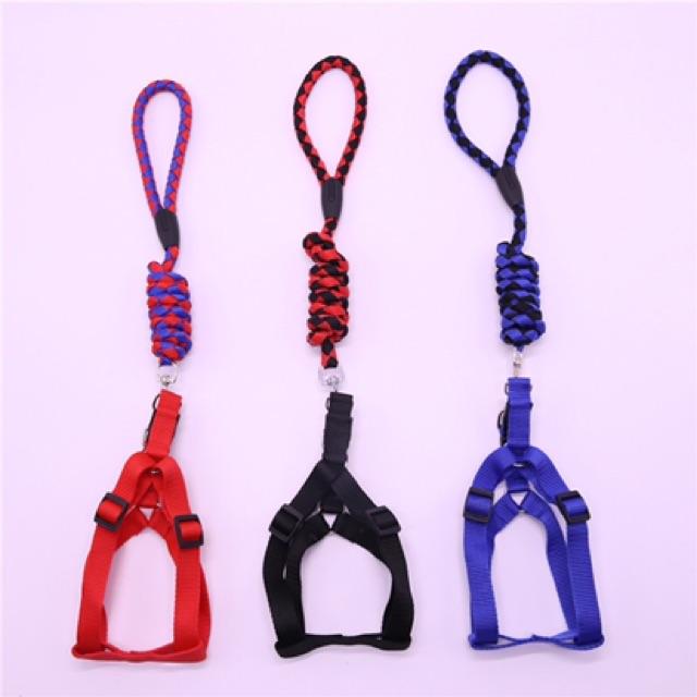 Dây dắt chó đi dạo - size từ nhỏ tới to