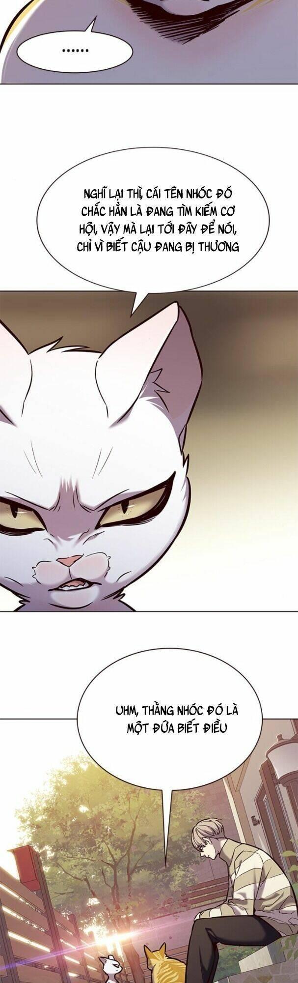 biến thân thành mèo chapter 181 50