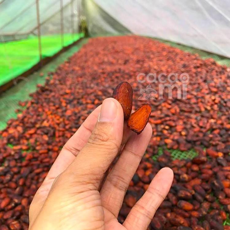 Cacao nibs CACAOMI hạt cacao 100% nguyên chất rang mộc tự nhiên dùng kèm granola, ngũ cốc, salad 500g