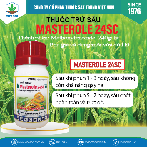 MASTEROLE 24SC-100CC PET - ĐẶC TRỊ SÂU