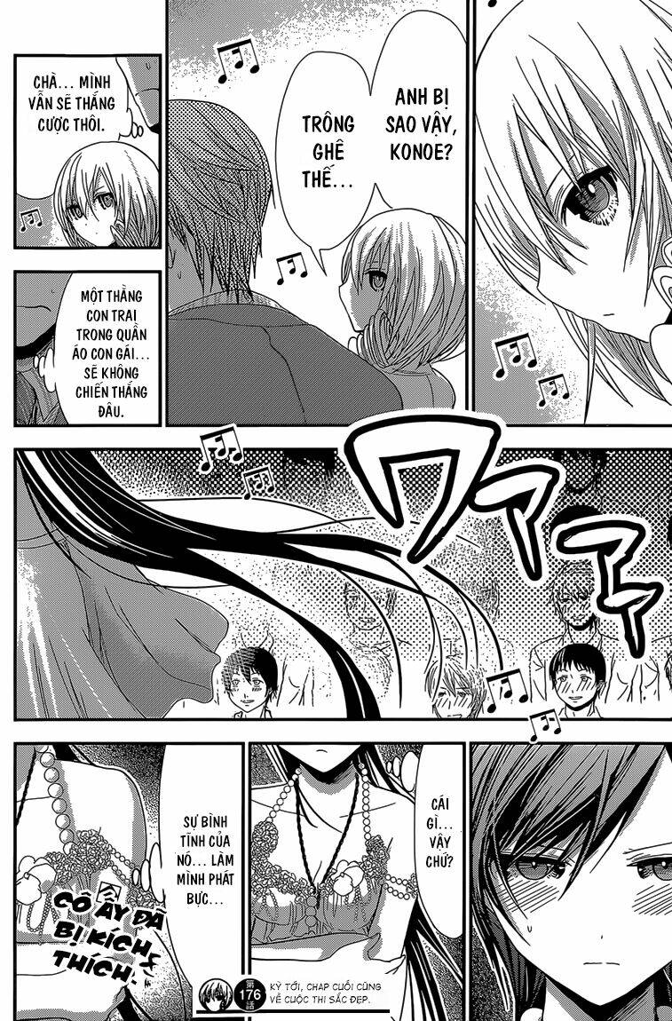 minamoto-kun monogatari chapter 176 10