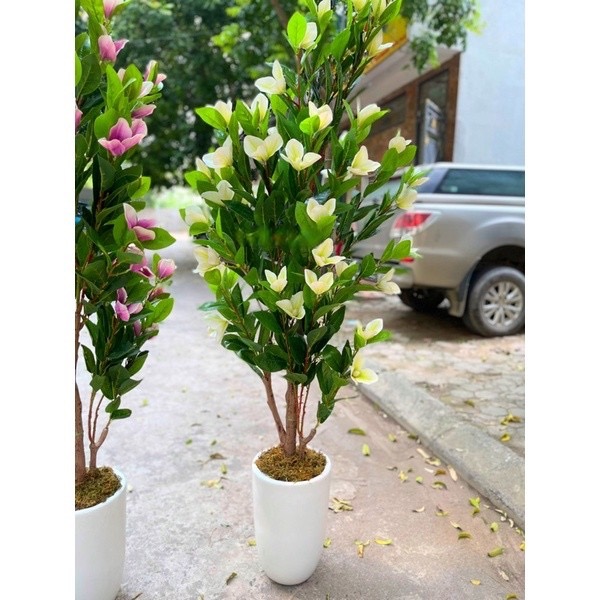 Cây hoa mộc lan giả - Size 180cm - Cây giả, hoa lụa Decor trang trí nhà cửa