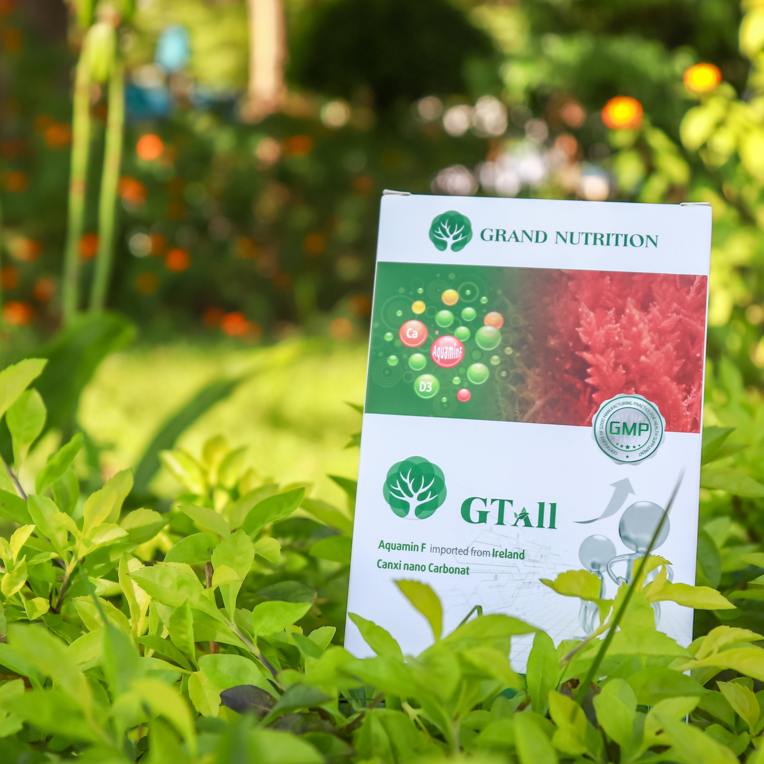 Combo 3 hộp Nước tăng chiều cao GTall - Càng uống càng cao