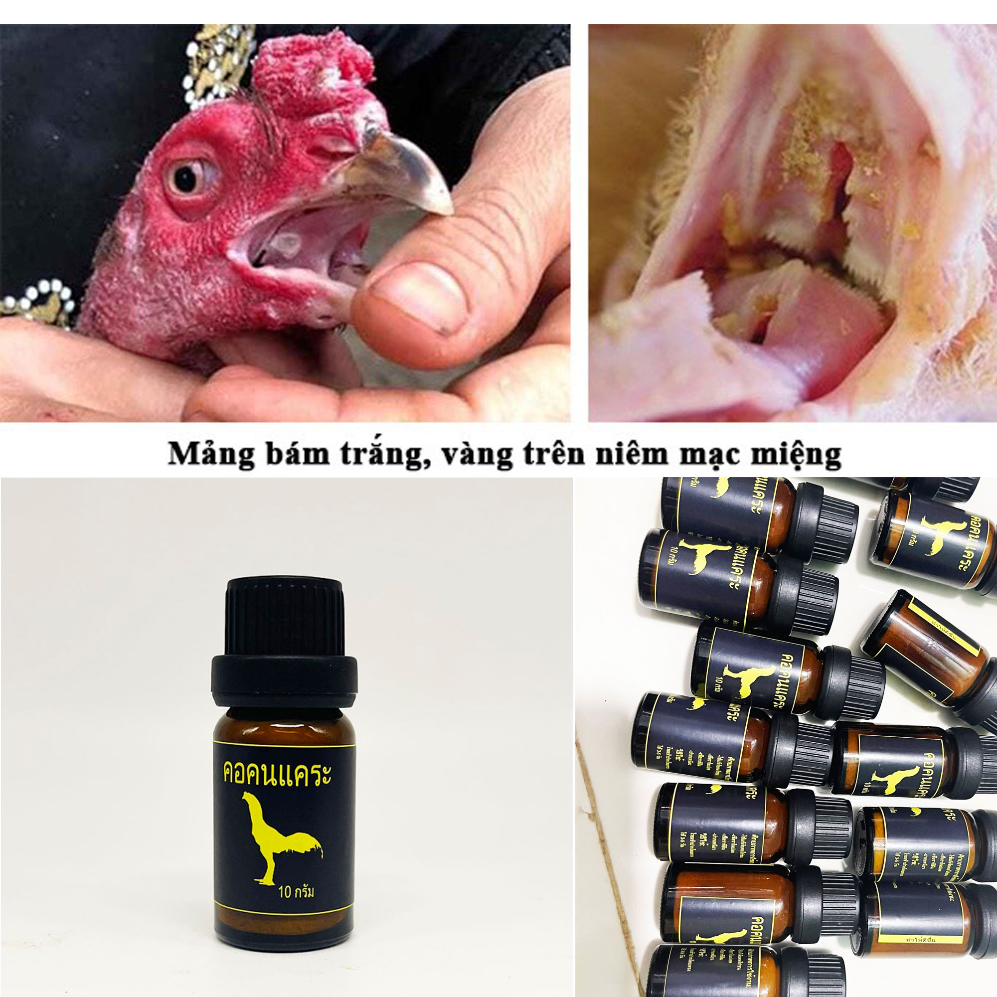 Đẹn Họng 10g-Dùng Cho Gà Bị Đẹn Họng-Nấm Lưỡi-Nấm Họng-Nấm Diều-Thailan