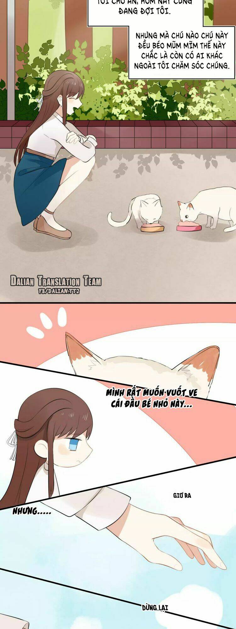 tiểu miêu và hắc diệu thạch chapter 1 12