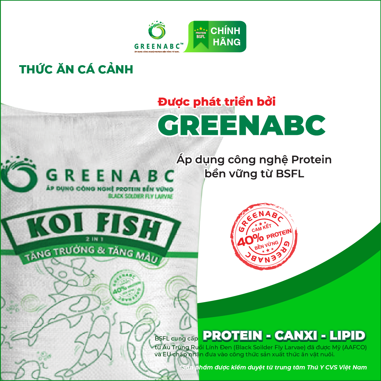 Thức ăn Cá Koi GREENABC - Koi Fish – Hàm lượng protein 40% giúp tăng size, tăng màu, tiêu hóa tốt, tăng đề kháng – Bao 10kg