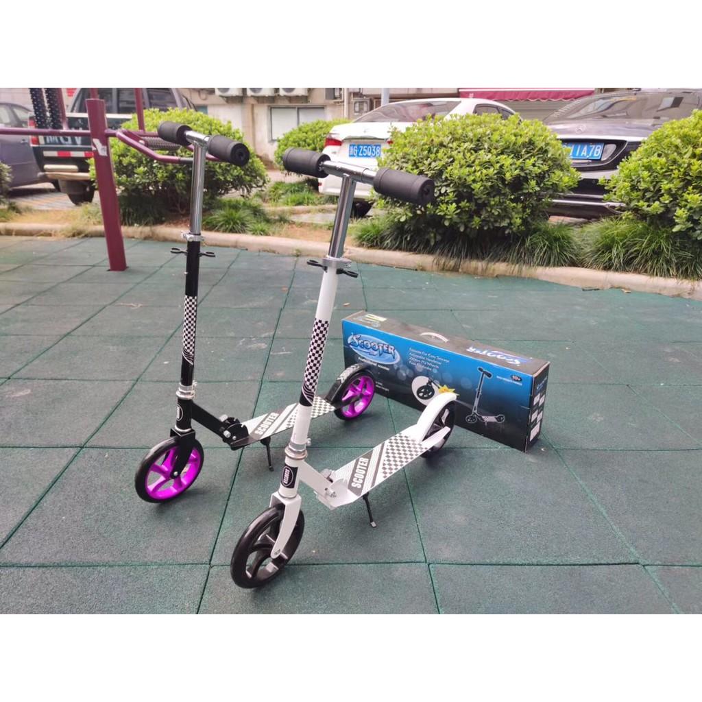 - Xe Scooter cao cấp Chịu lực trên 100kg