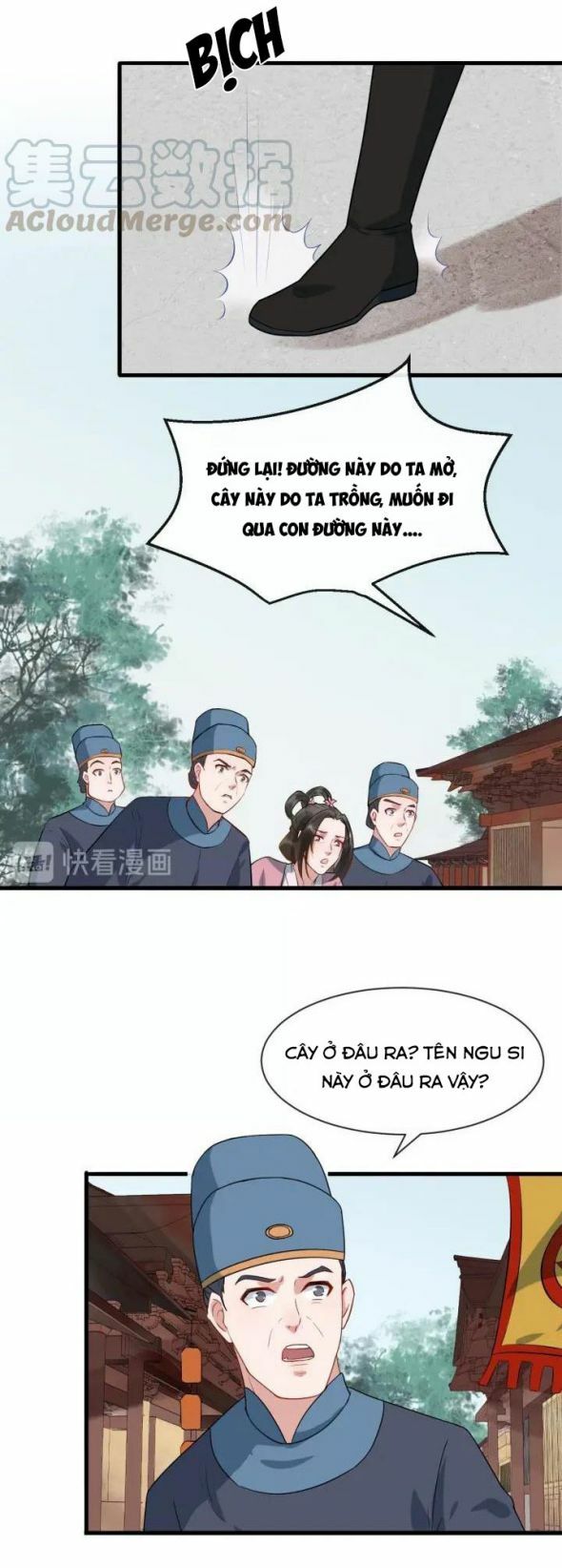 bồng sơn viễn 2 chapter 8 11