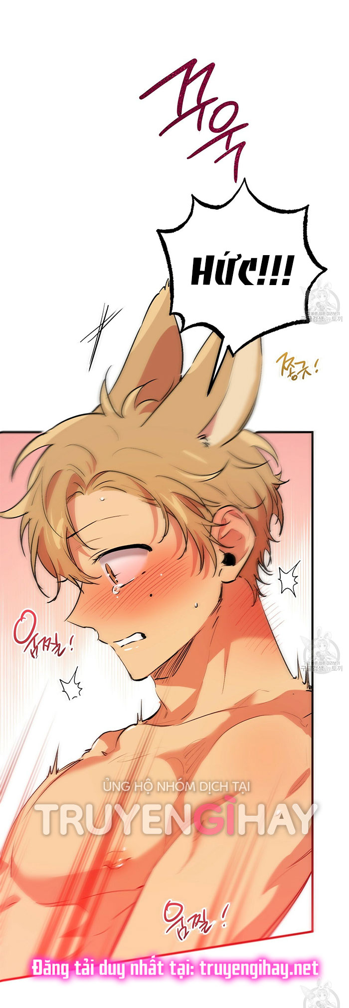 những chú thỏ của hapypy chapter 43 35