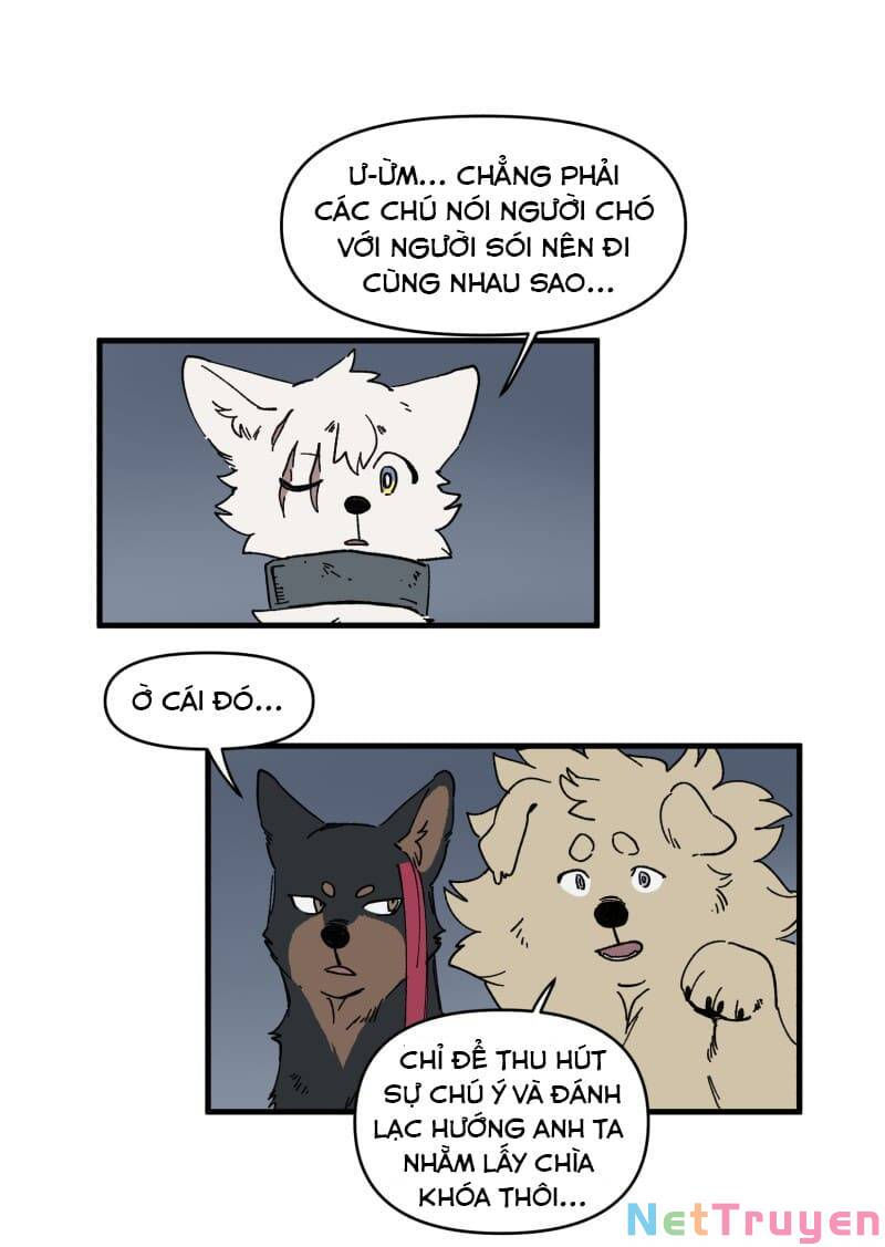 lumine - cội nguồn ánh sáng chapter 147 7