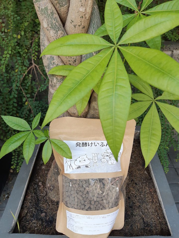 Phân Hữu Cơ Nhật Bản - Gói 0.5kg