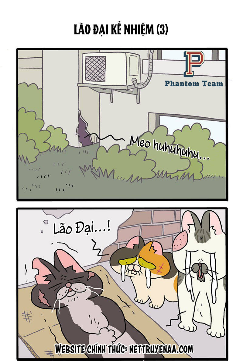 a mãn và mạch trà chapter 37 5