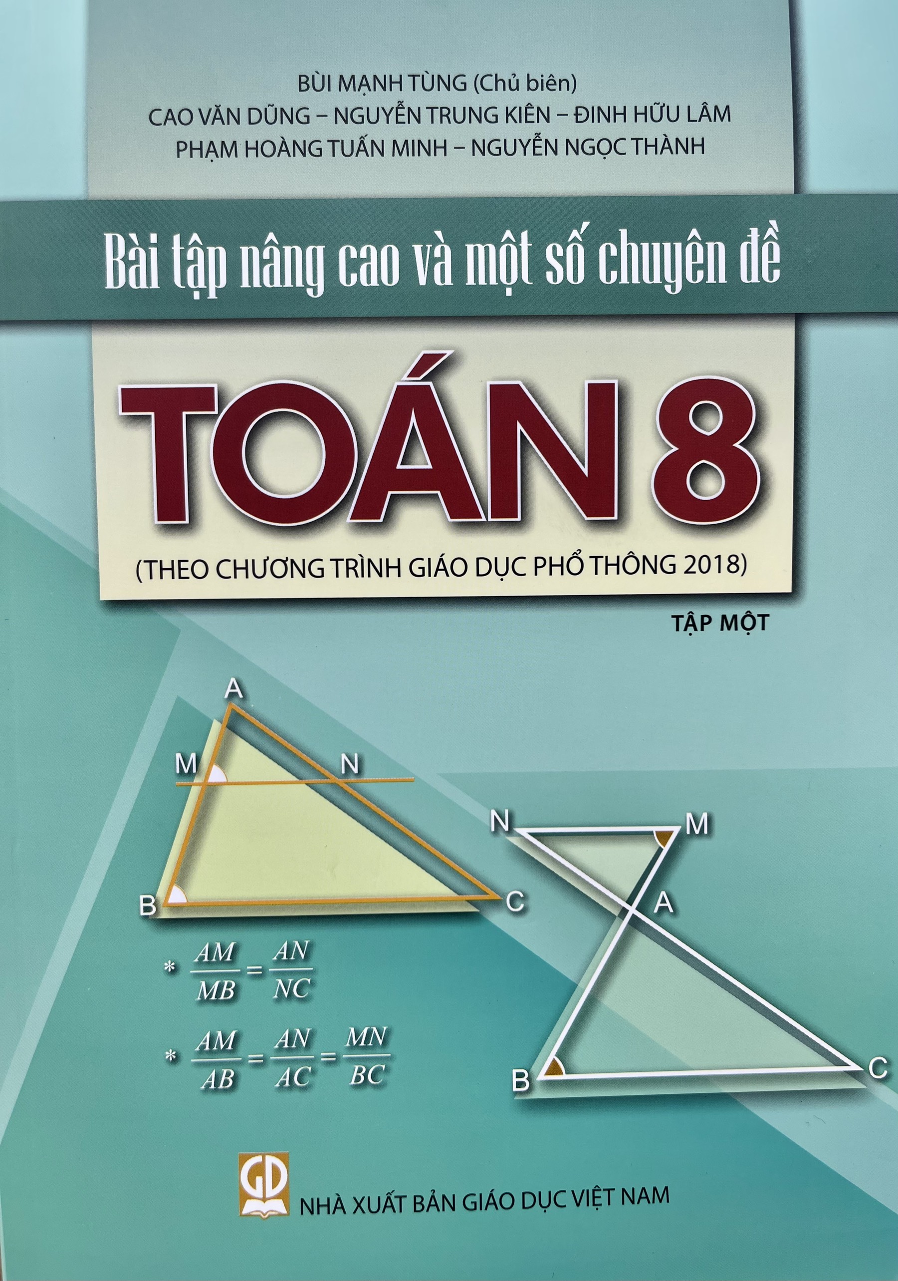 Sách - Bài tập nâng cao và một số chuyên đề Toán lớp 8 tập 1+2 (HEID)