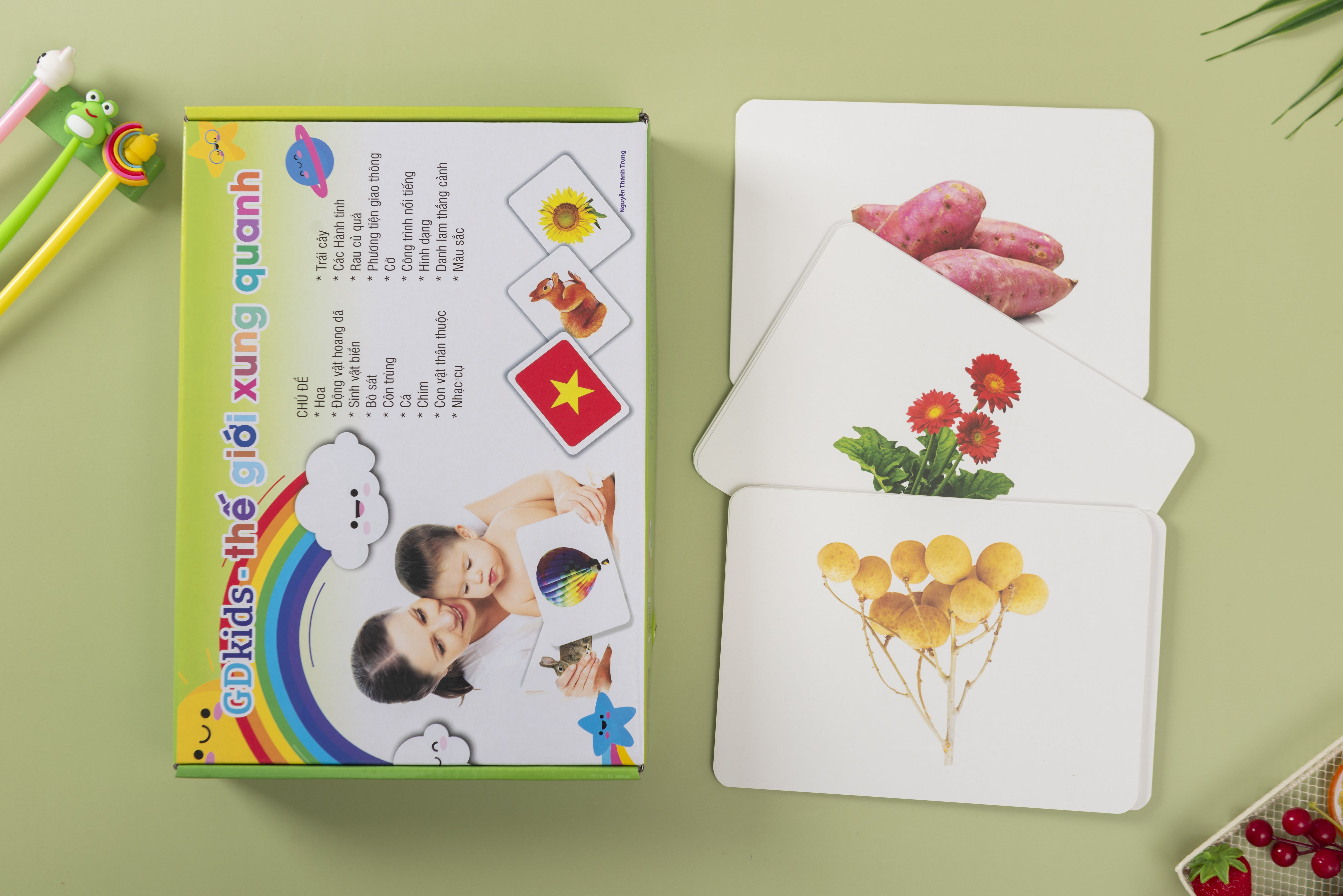 GDKids – Bộ Thẻ Thế giới xung quanh Glenn Doman Cho Bé 0 - 6 tuổi (300 Thẻ Flashcards)