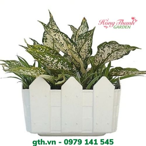 Chậu Nhựa Trồng Cây Treo Tường Kiểu Hàng Rào Màu Trắng Và Màu Xanh - Dùng Để Treo Ban Công và Hàng Rào
