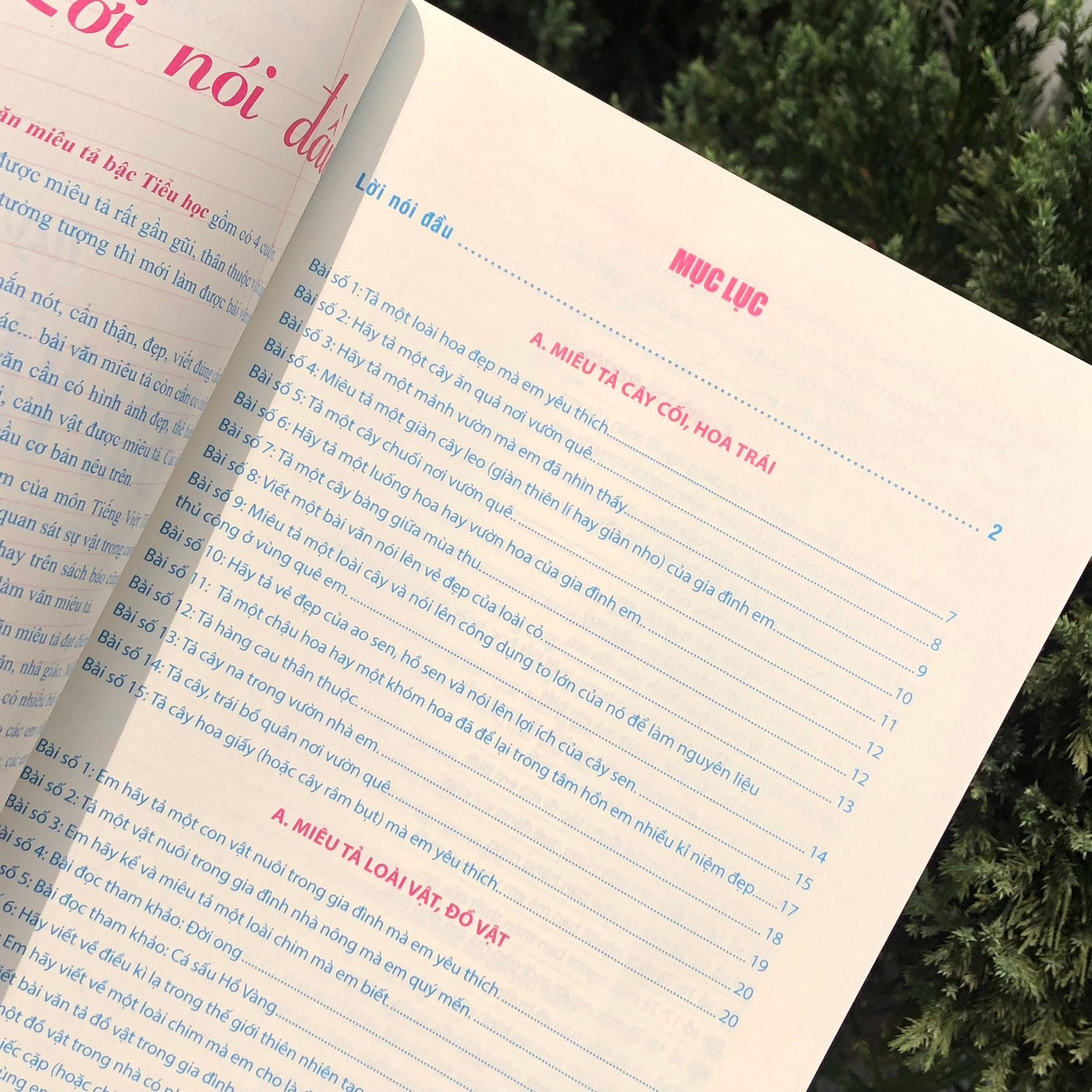 Sách: Combo Tuyển Chọn Những Bài Văn Miêu Tả Lớp 5 + Phiếu Ôn Tập Cuối Tuần Tiếng Việt Lớp 5