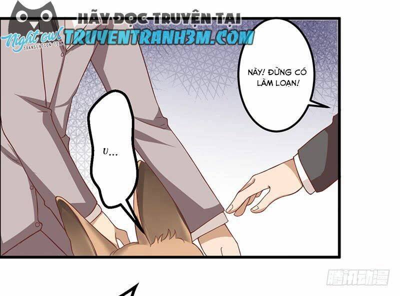 trên gối của chủ tịch ác ma chapter 16 1