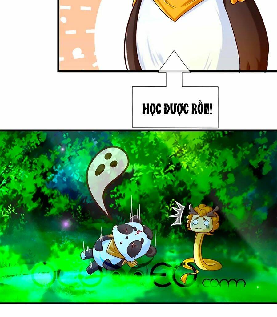 bỗng một ngày trở thành con gái nhà vua chapter 257 23