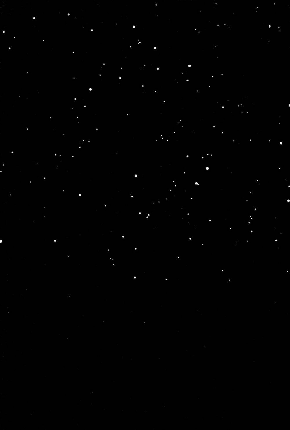 khu rừng của niini chapter 2 3