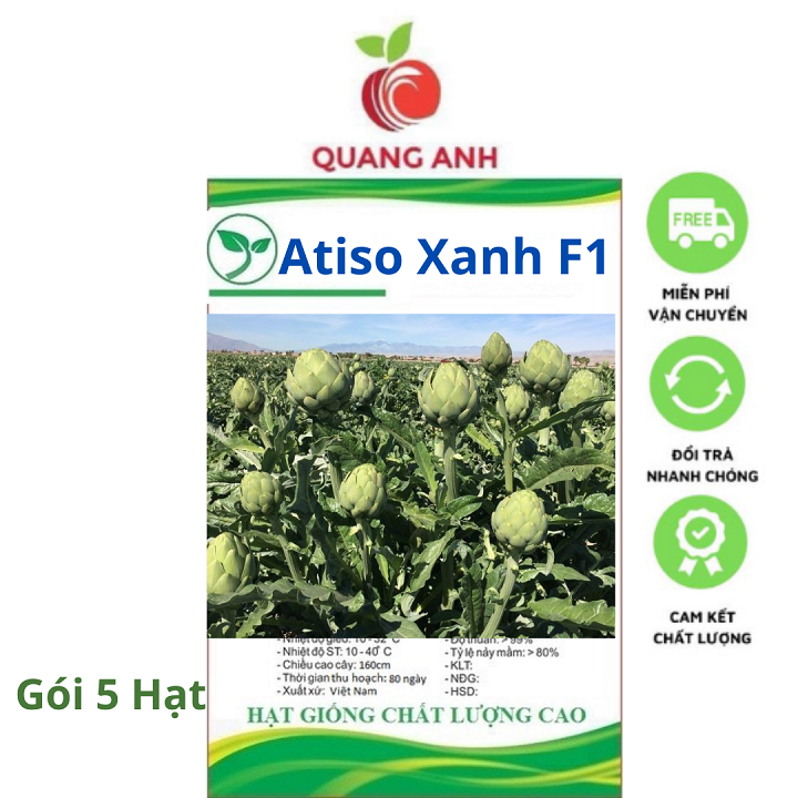 Hạt Giống Atiso Xanh F1 - Cây Atiso Xanh - Gói 5 Hạt